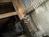 %E6%9D%BE%E5%B2%A1%EF%BC%88%E4%B8%8A%E6%9E%97%EF%BC%89%E9%82%B8%20013.jpg
