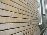 DSCF0677.JPG